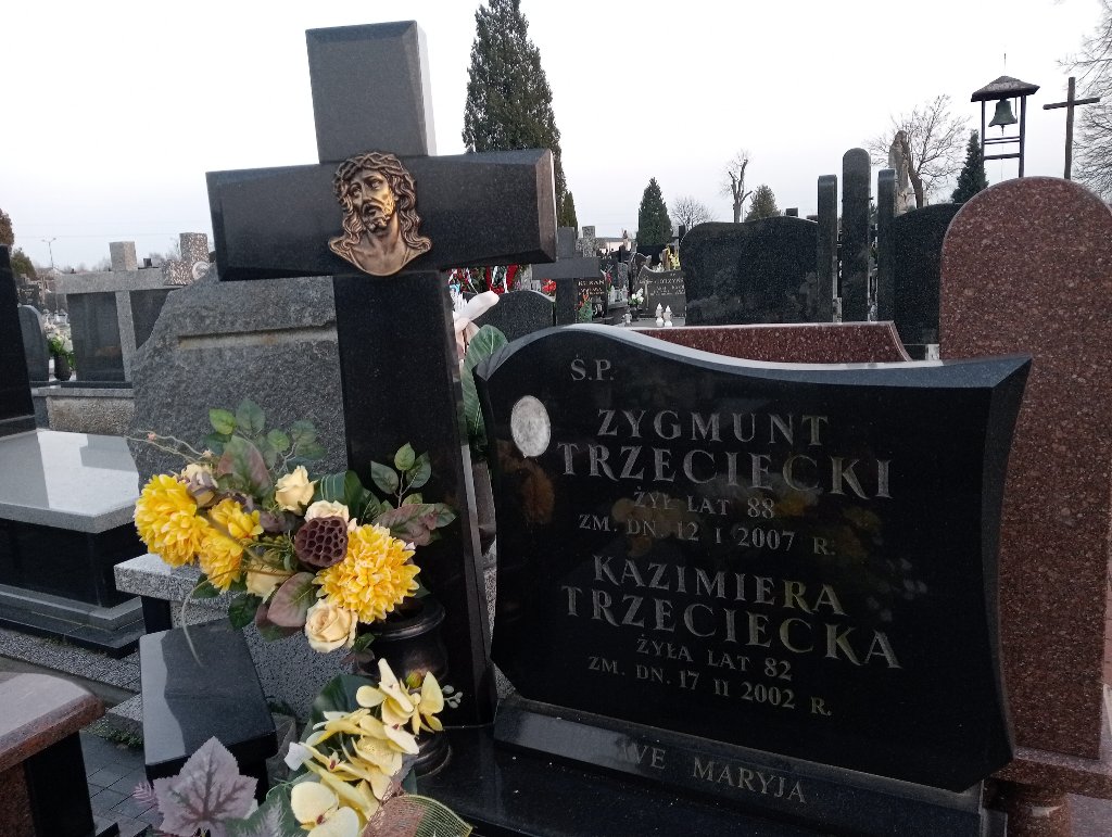 Zygmunt Trzeciecki Mszczonów - Grobonet - Wyszukiwarka osób pochowanych