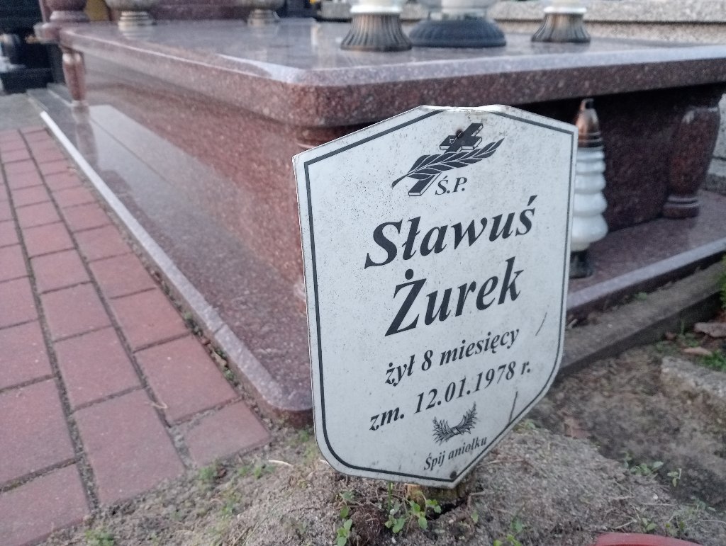 Sławomir Żurek Mszczonów - Grobonet - Wyszukiwarka osób pochowanych